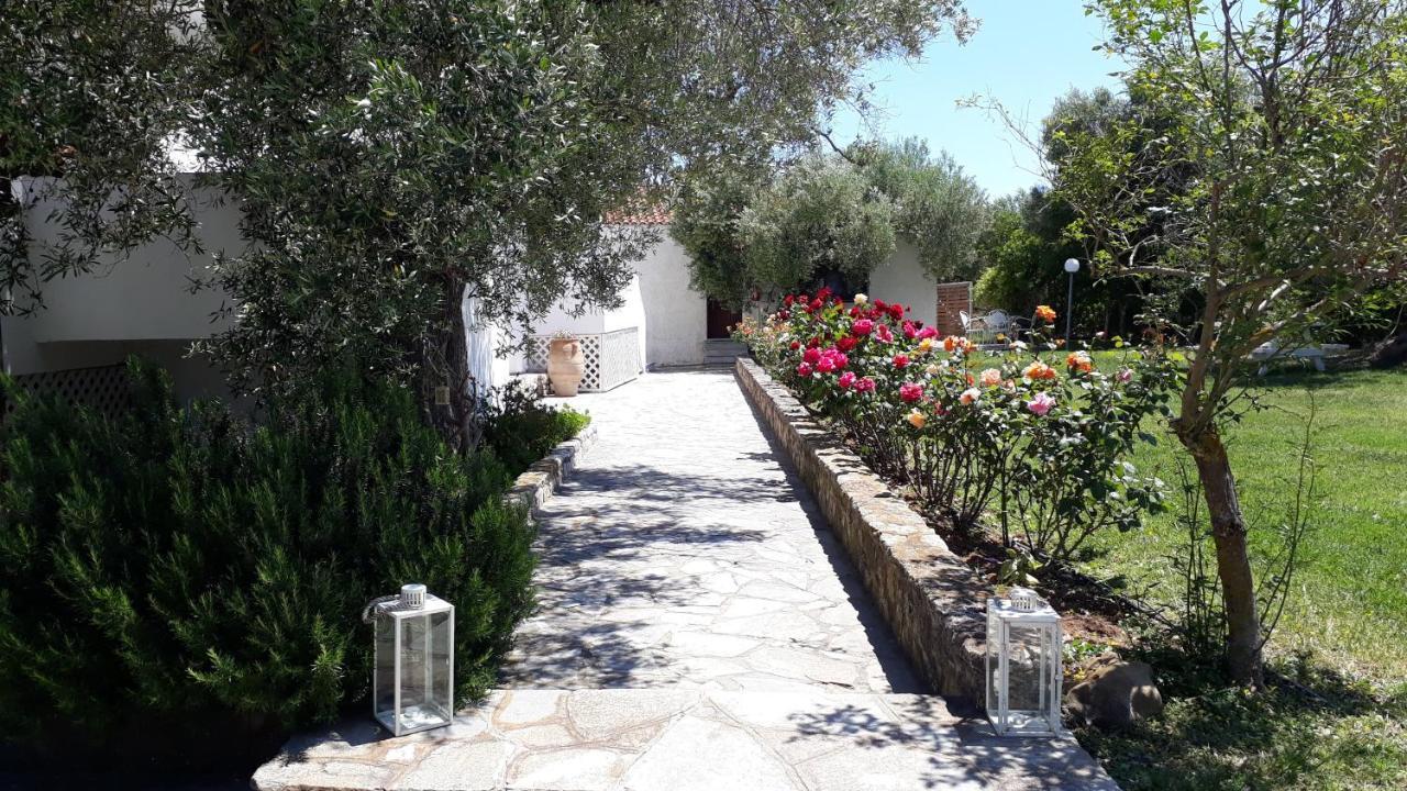 Marios Garden House * Áfitos