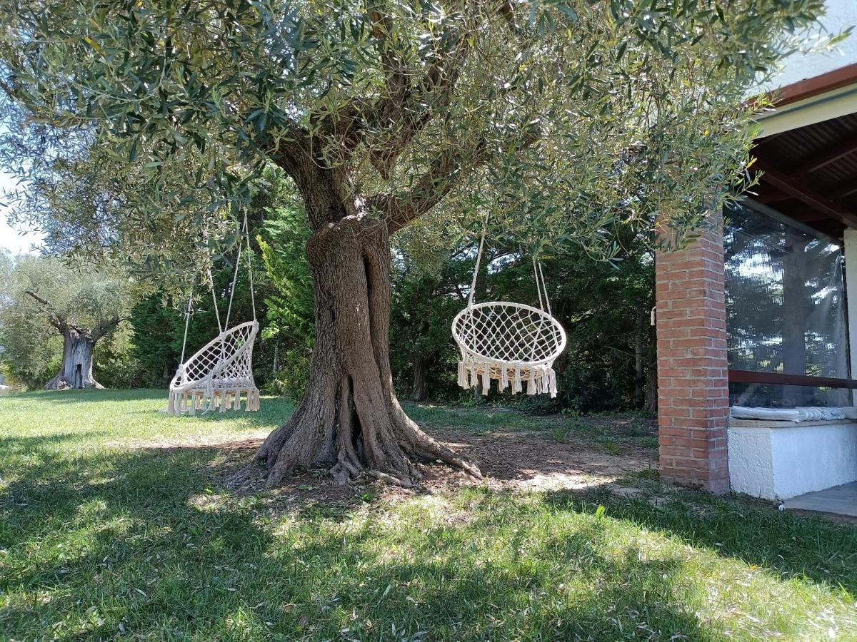 Apartment Marios Garden House Áfitos