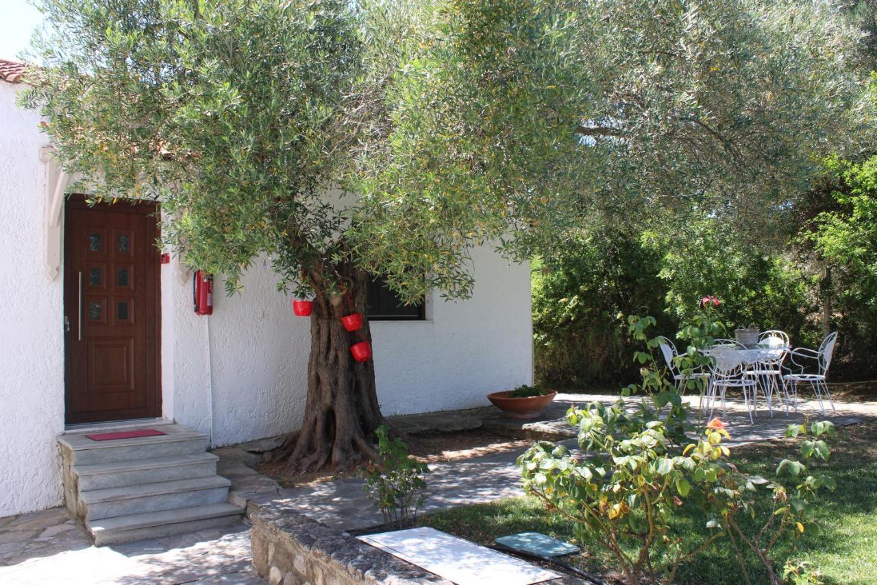Apartment Marios Garden House