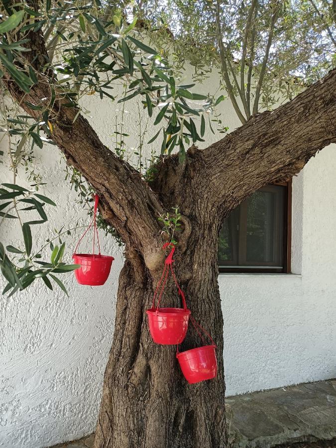 Apartament Marios Garden House Afytos
