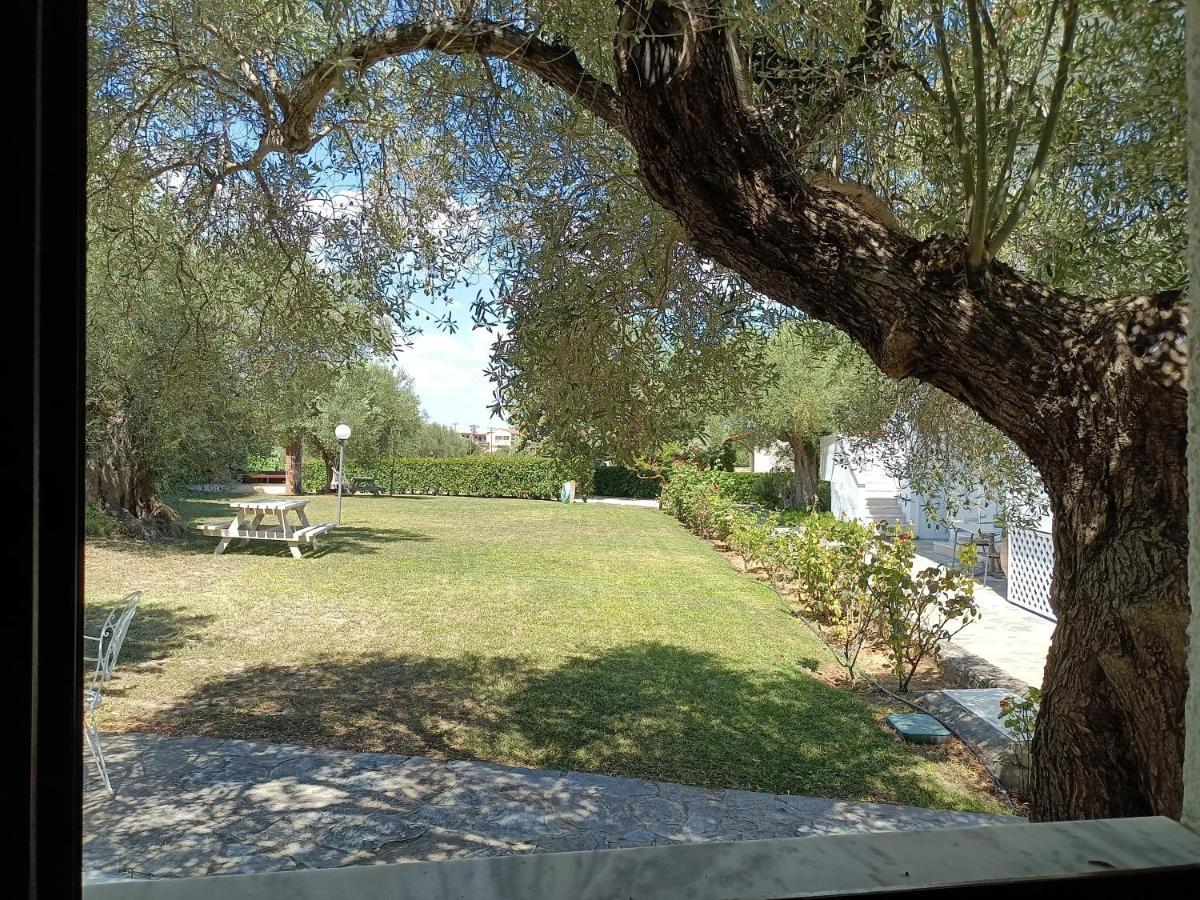 Marios Garden House Apartament Afytos
